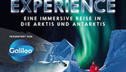 POLAR EXPERIENCE - Die immersive Ausstellung
