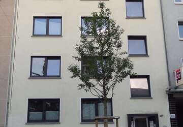 Wohnung Essen Rüttenscheid - 2 Zimmer, 40 m&sup2;, 750&euro; | Angebot:27463090
