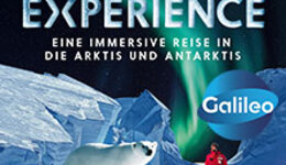POLAR EXPERIENCE - Die immersive Ausstellung | Flex Ticket Oktober