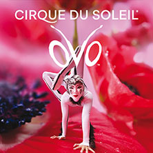Cirque du Soleil OVO 24.10.2026 Salzburgarena